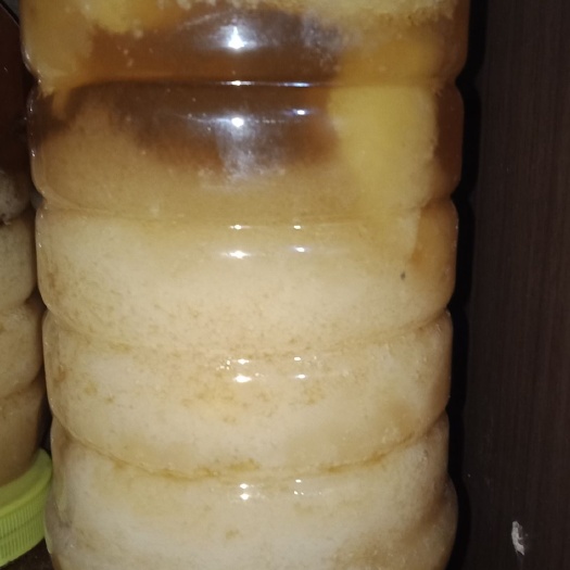 宜丰县油菜蜜  1年 塑料瓶装