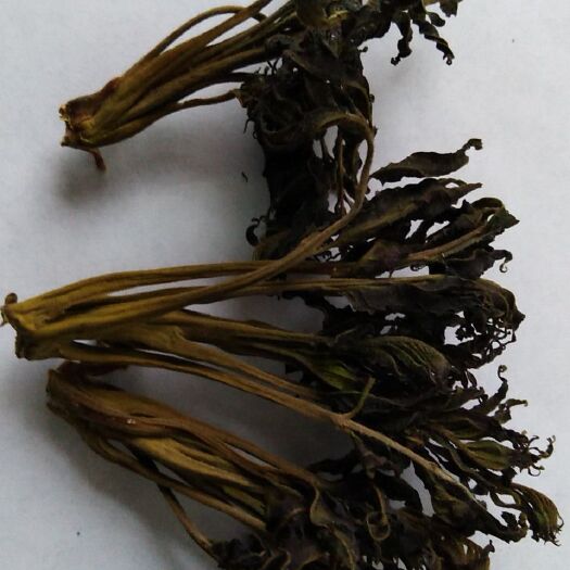 嵩县干香椿芽 12-18个月