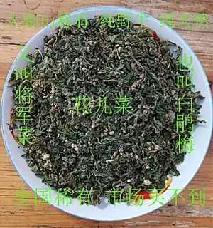 商城县发菜 特级