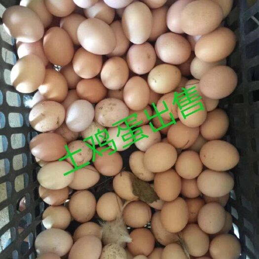 临海市土鸡蛋 食用 箱装