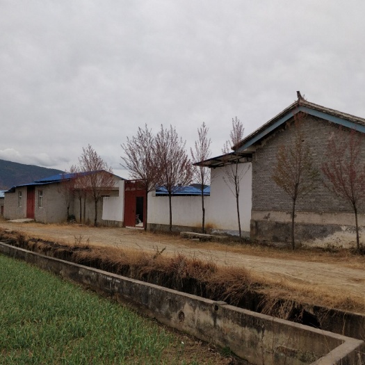 鹤庆县厂房 出租 养殖场（养猪场）