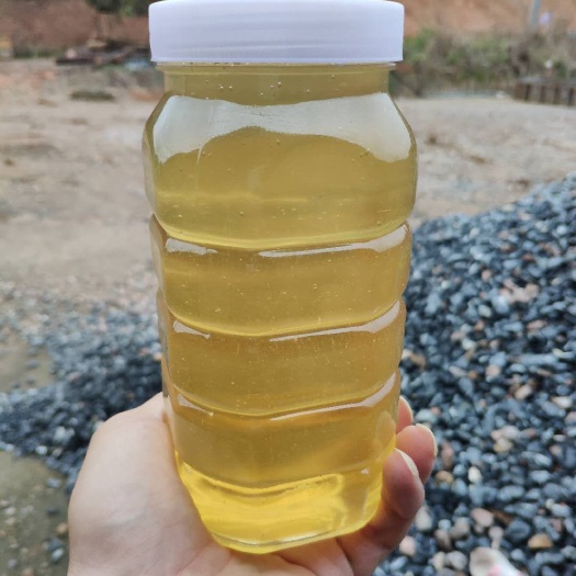 平南县油菜蜜  优质蜂蜜