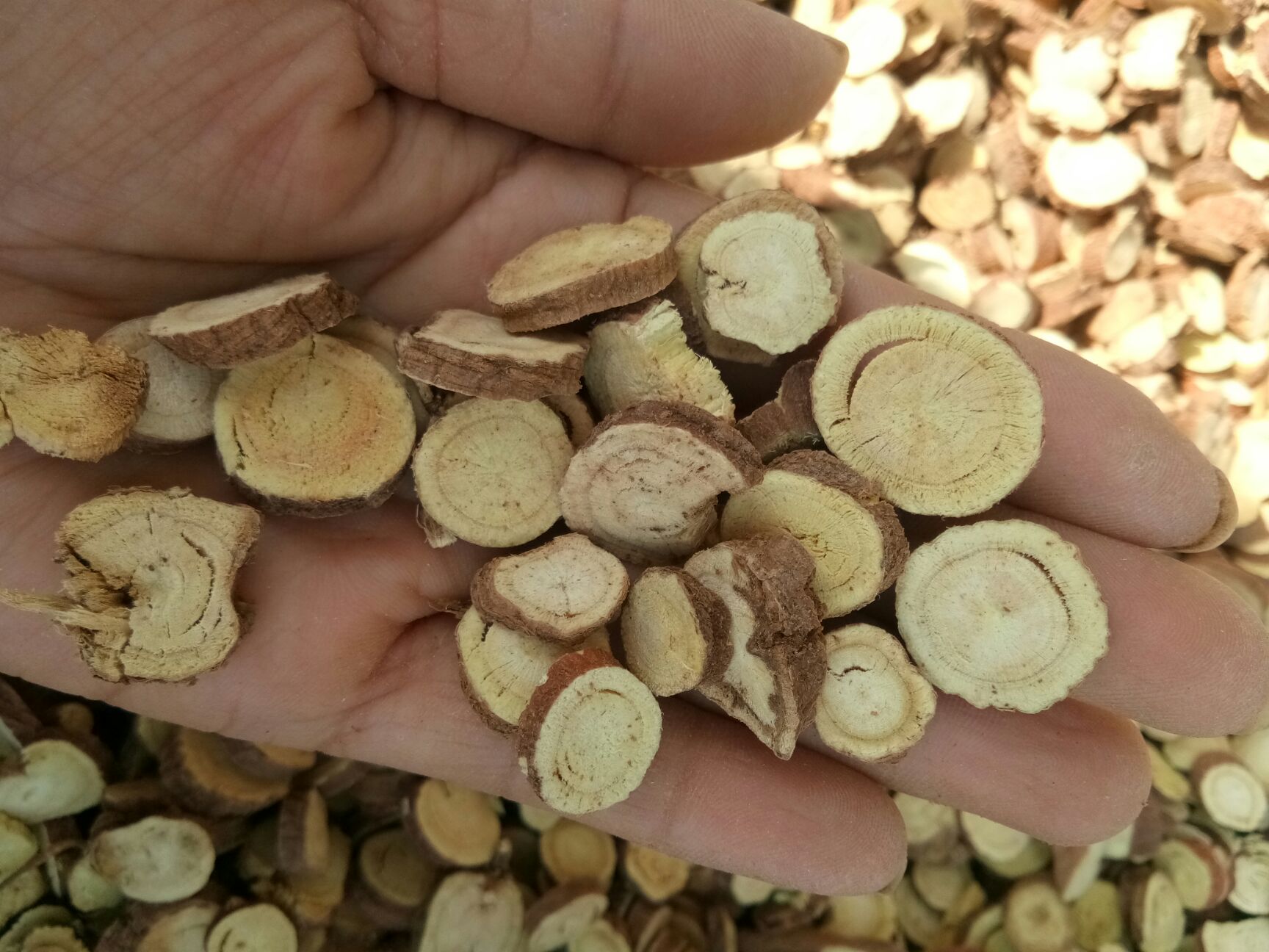 光果甘草  甘肃 甘草大片干净无杂 泡茶 包邮