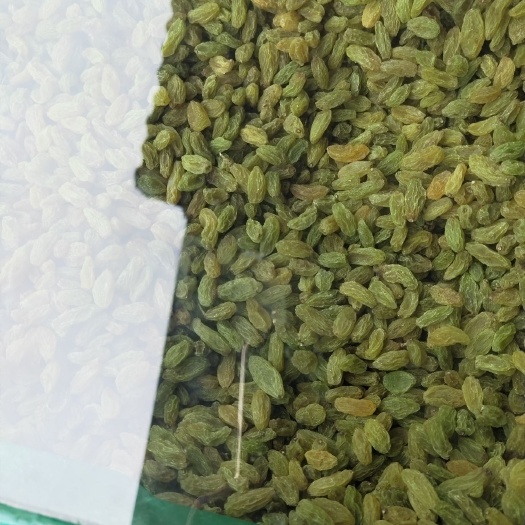 成都新疆绿葡萄干 一等