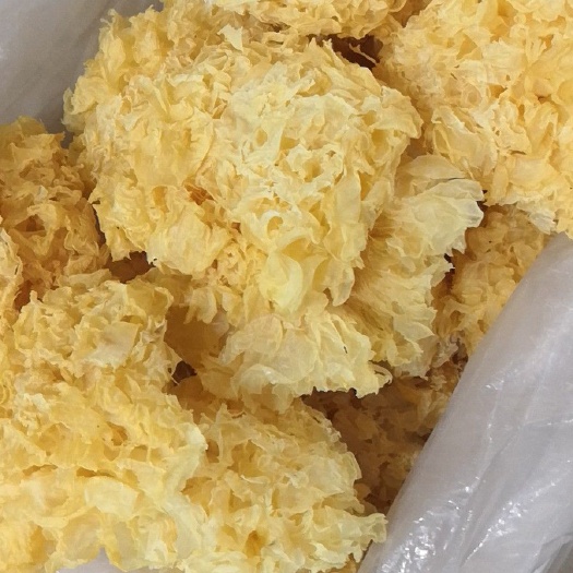 成都雪耳 干银耳 朵状银耳 淡黄色