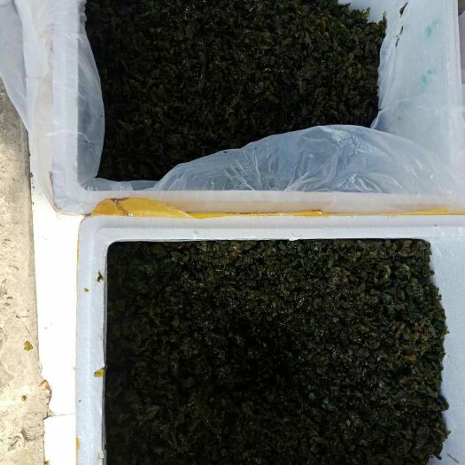 温州地皮菜 一级