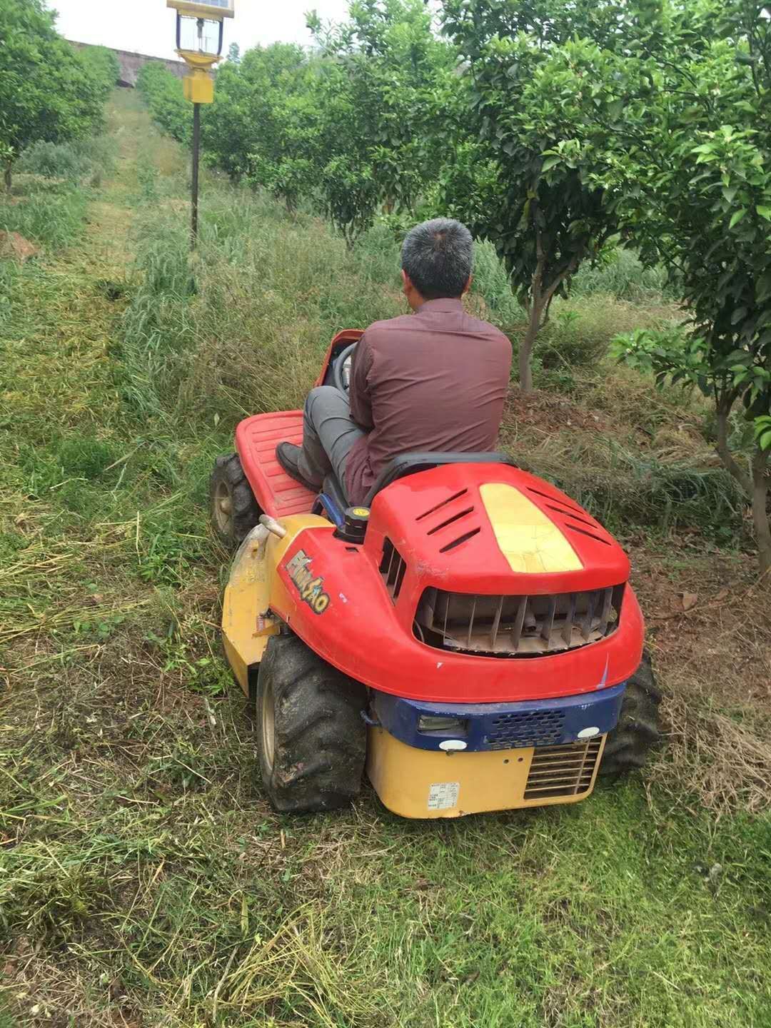割草機  座駕式割草碎草一體機果園剪草機