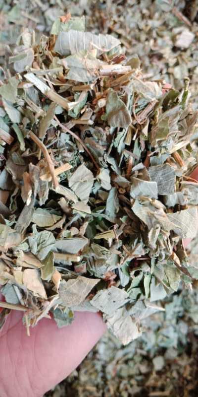 安国市金钱草中药材金钱草 广金钱草