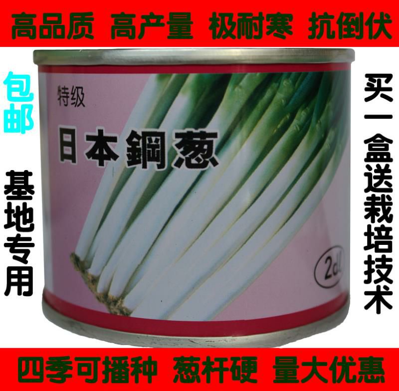 日本钢葱种子 ≥80% 常规种 90.00 元/盒
