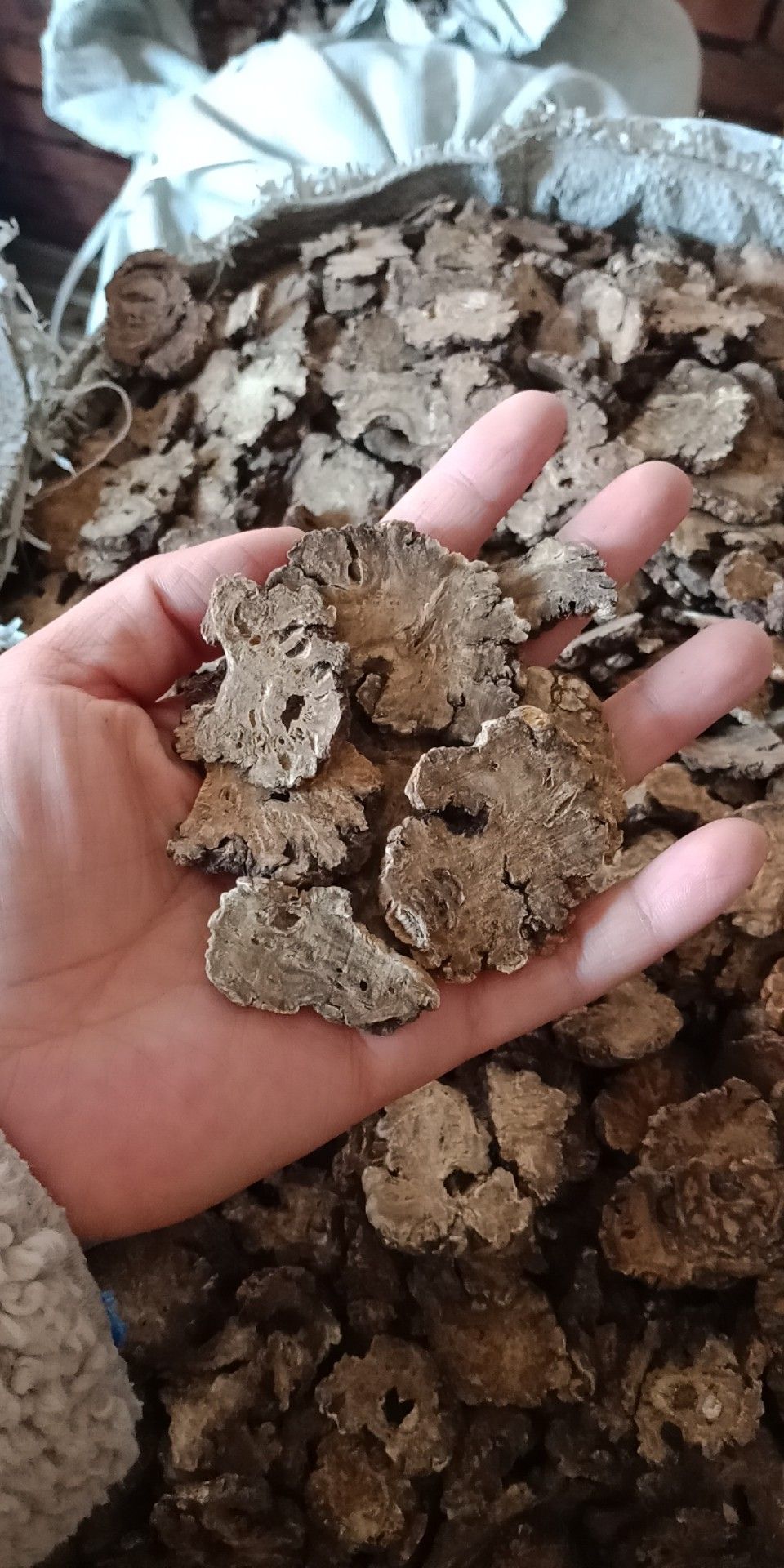 川芎 四川产 统片