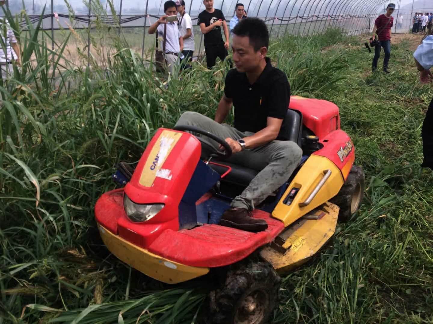 割草機  座駕式割草碎草一體機果園剪草機