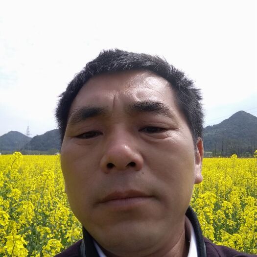 瑞昌市油菜籽 出油高