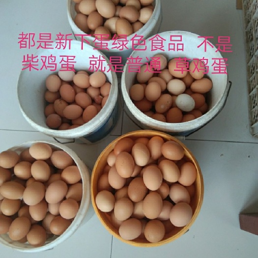 元氏县草鸡蛋 食用 礼盒装