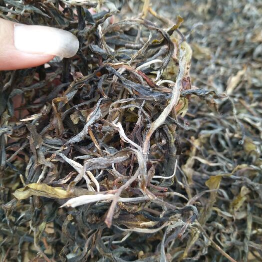 勐腊县易武普洱茶 小树茶