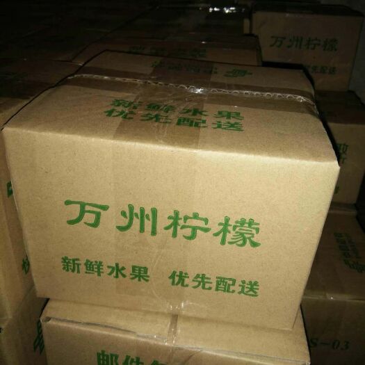 云阳黄柠檬 2.7 - 3.2两