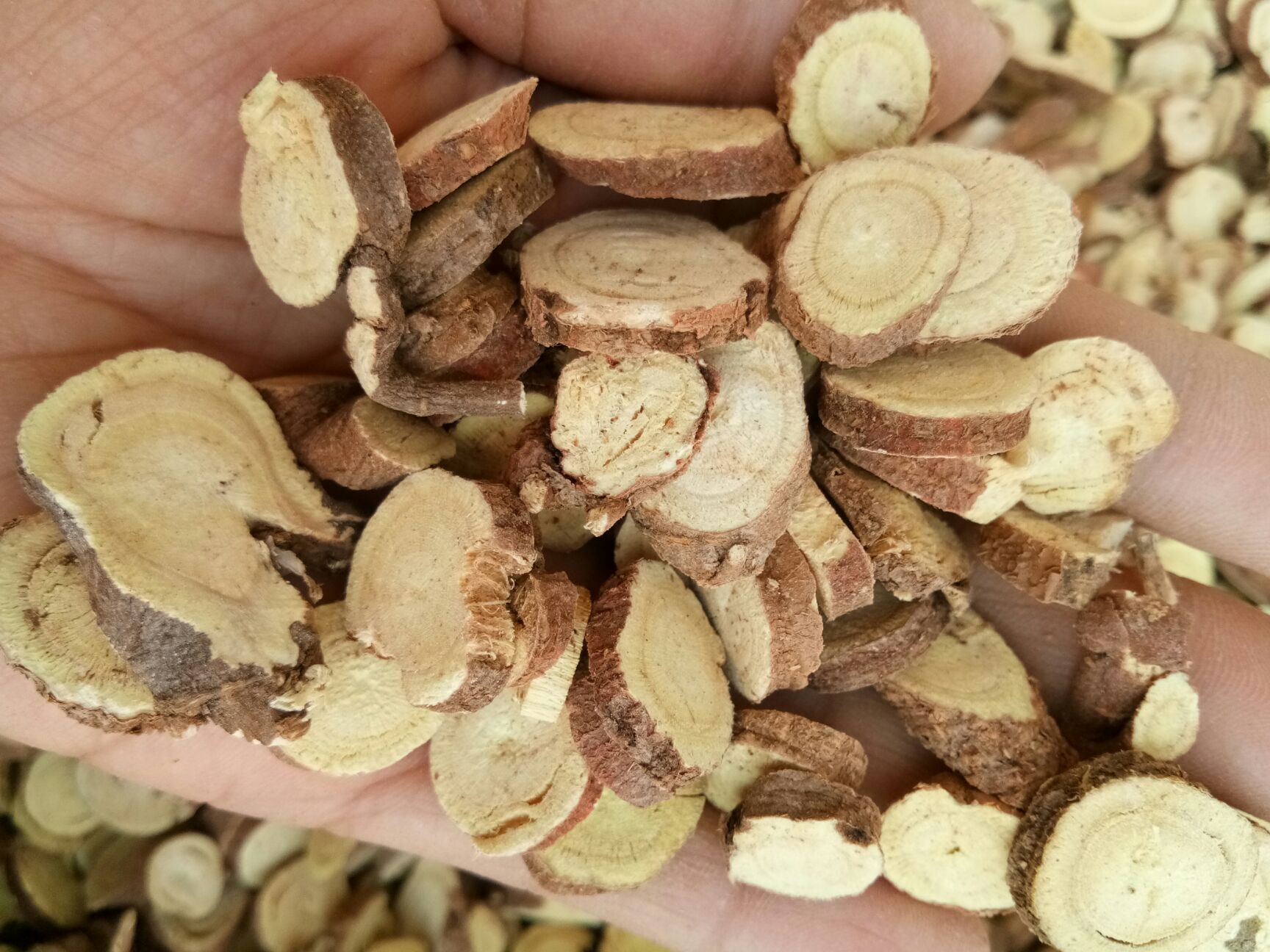光果甘草  甘肃 甘草大片干净无杂 泡茶 包邮