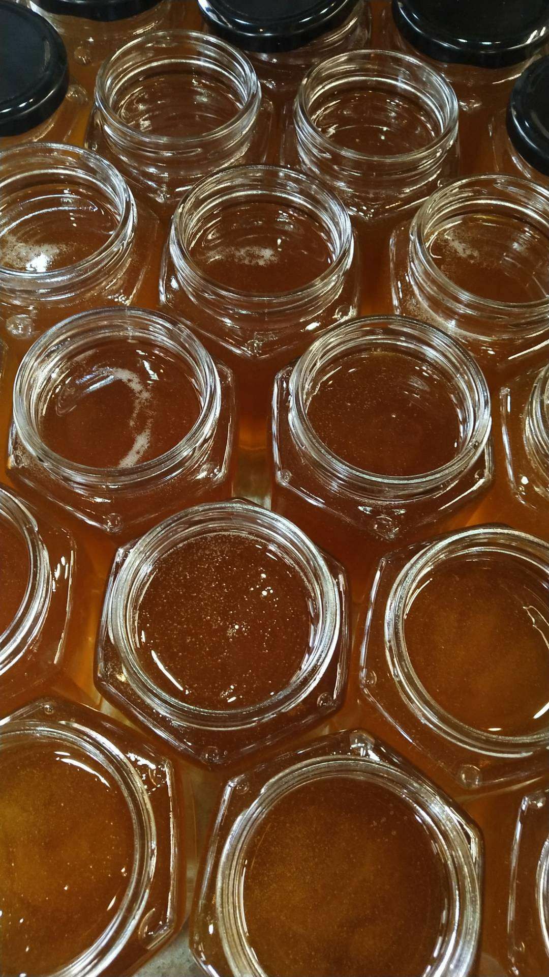 野生蜂蜜 玻璃瓶装 2年 100%