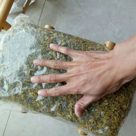 建水县铁皮石斛花
