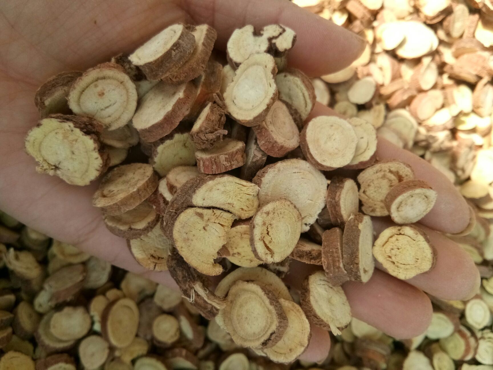 光果甘草  甘肃 甘草大片干净无杂 泡茶 包邮