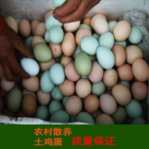 平武县土鸡蛋 食用 散装