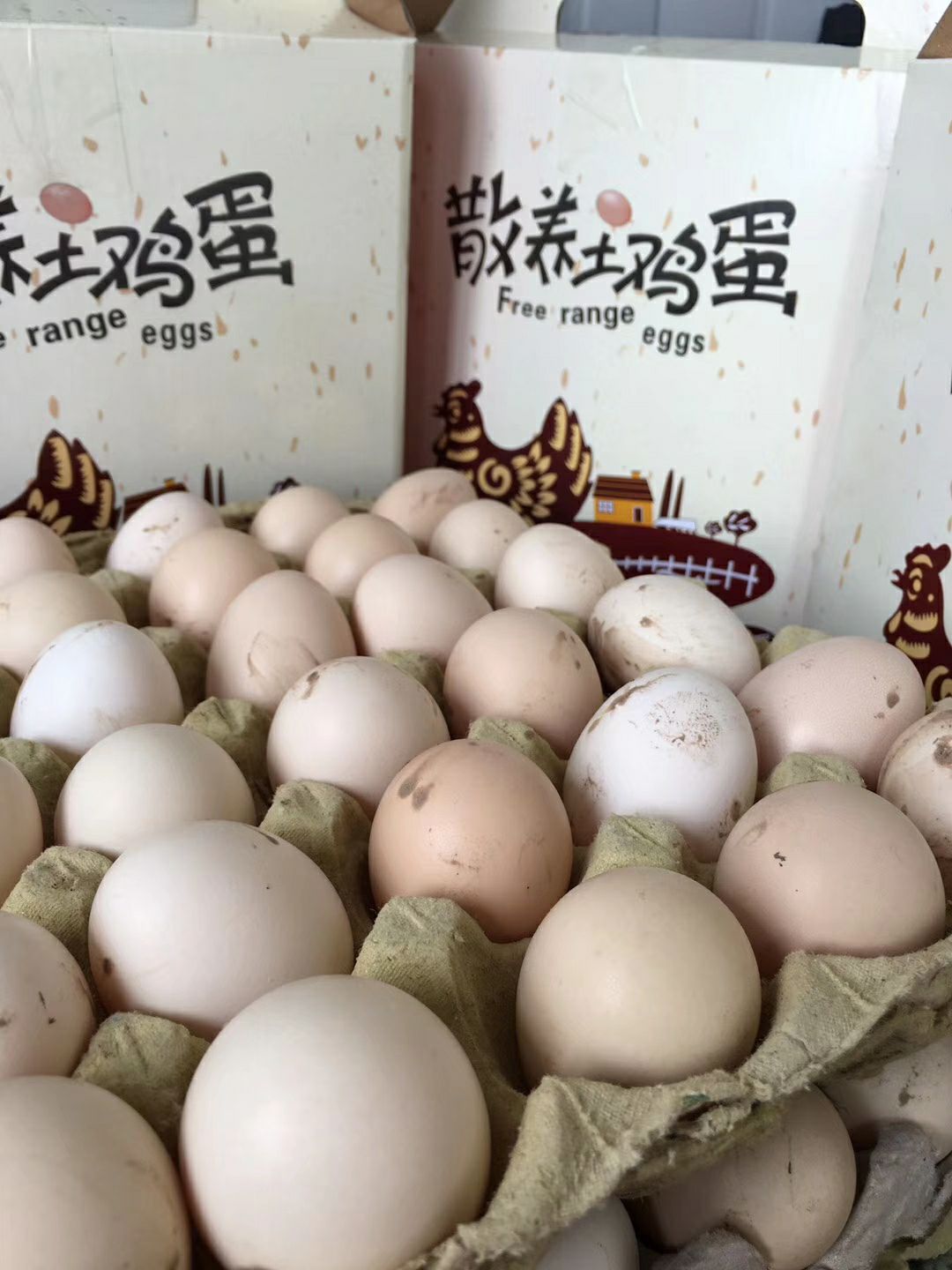 柴鸡蛋 食用 箱装