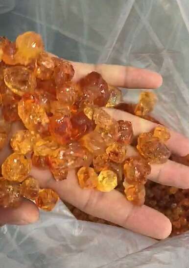 上海黄桃胶 24个月以上