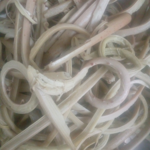 广州脱水紫甜菜 24个月以上