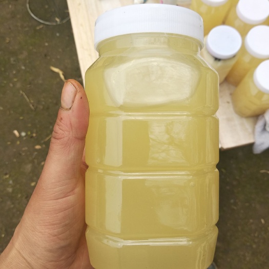 钟祥市油菜蜜 玻璃瓶装 2年以上 90%以上