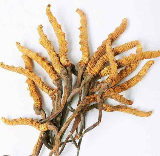 兰州冬虫夏草 干