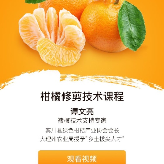 钦州果园 出租 10~20年 100~500亩