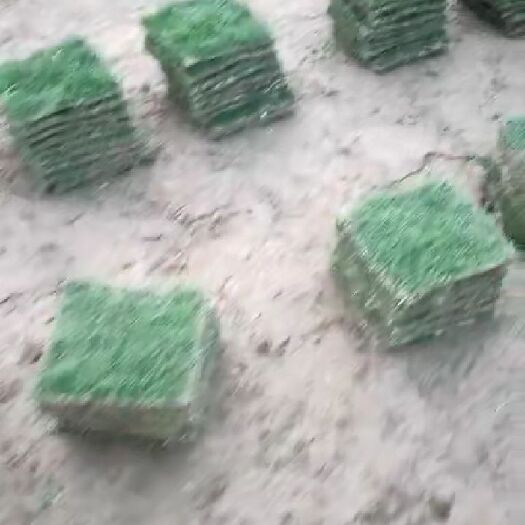 博罗县草 友达草业，草皮基地，广东惠州博罗石坝高速路口