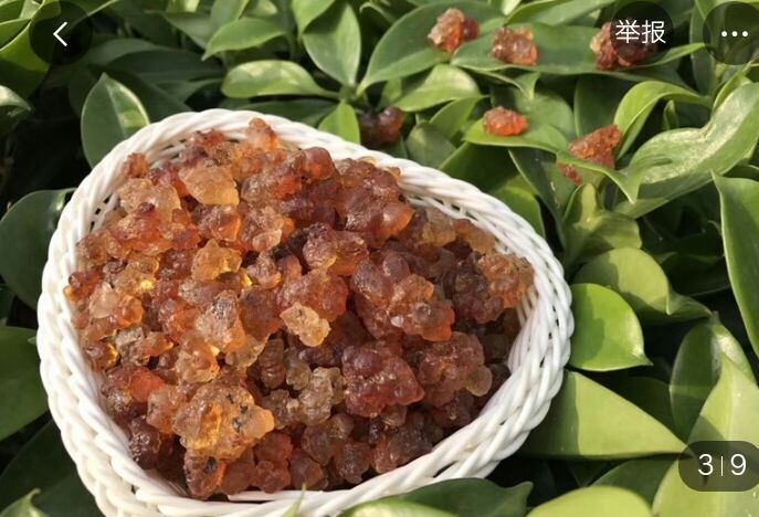 六安桃胶上市  食用黄桃胶，产地直发，量大从优。