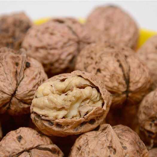 会泽县青皮核桃 皮薄 仁 白 口感好