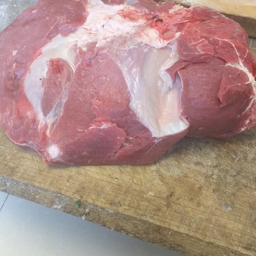 定州市肉羊 鲜肉制作