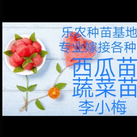 西瓜苗 嫁接苗 容器苗 2公分以下 0.2公分以上