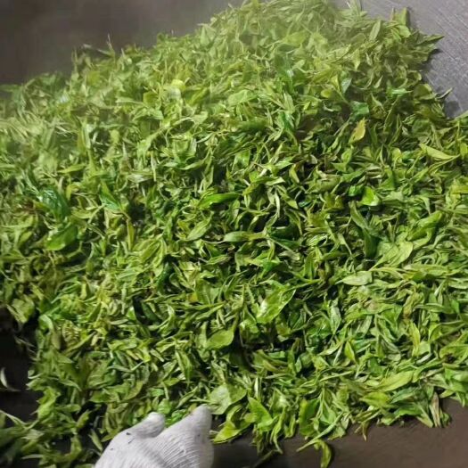 勐海县普洱乔木茶 一级 散装