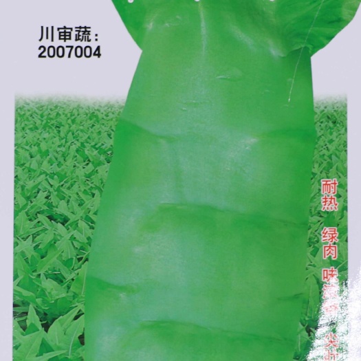 绵阳 尖叶二青皮青肉耐热莴笋种子