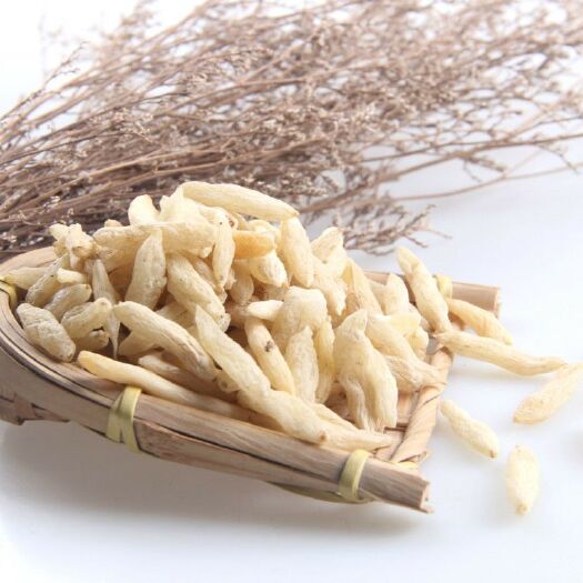 菏泽麦冬 花茶类