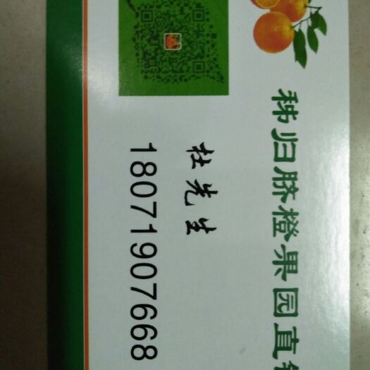 秭归县伦晚脐橙  秭归脐橙我头像有联系方式