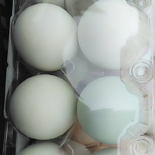 缙云县土鸭蛋 食用 散装