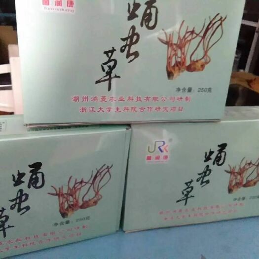 湖州桑蚕
