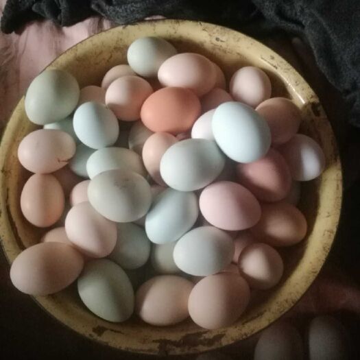 乐清市草鸡蛋 食用 箱装