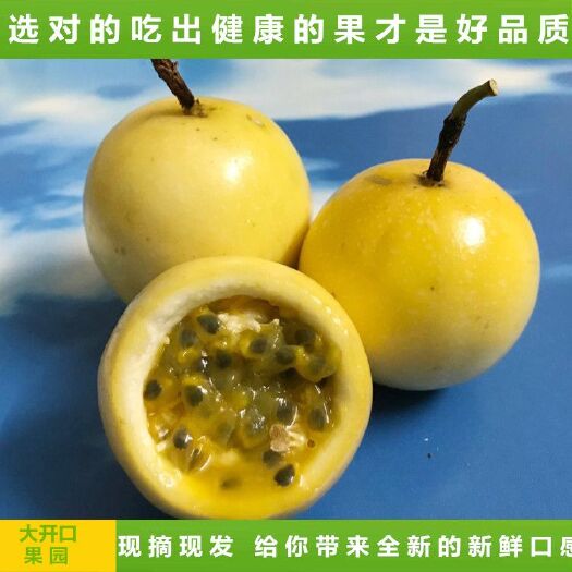 北流市 一级黄金百香果靓果 5斤装 鸡蛋果广西果园直供 坏果包赔