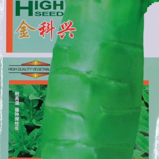 绵阳 优质尖叶耐热莴笋种子