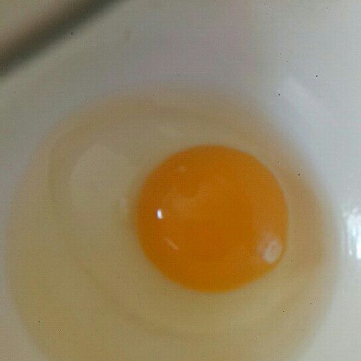 曲周县柴鸡蛋 食用 散装