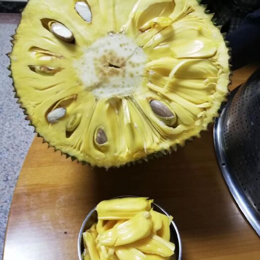 灵山县马来西亚一号菠萝蜜苗