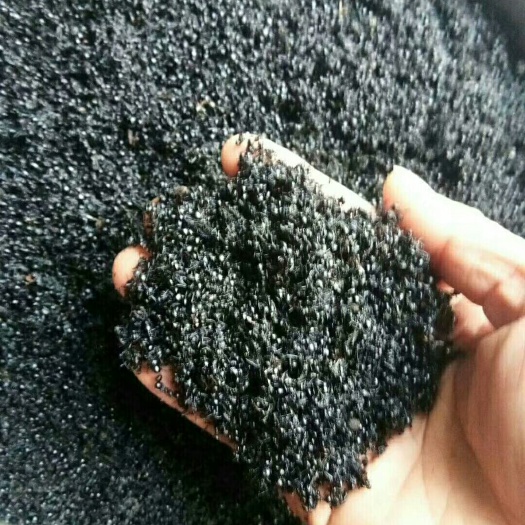 凭祥市蚂蚁