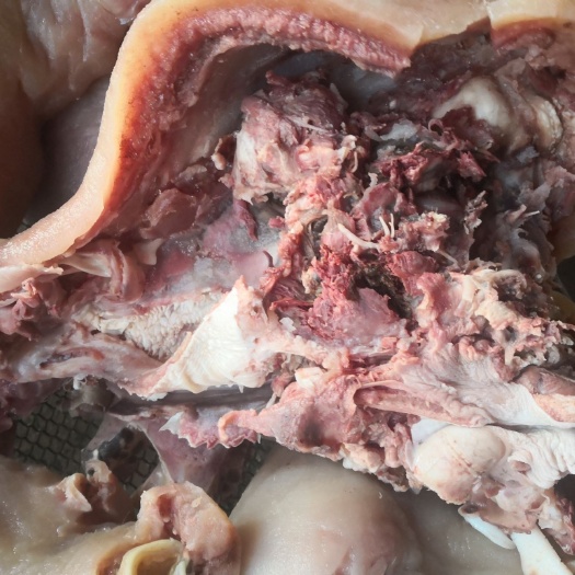 阳信县牛头  带皮熟肉宴牛脸肉牛眼牛脑
