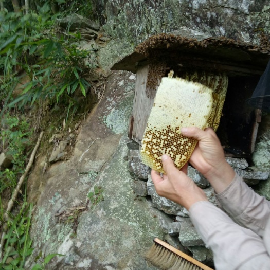恭城县桂林瑶山土蜂蜜