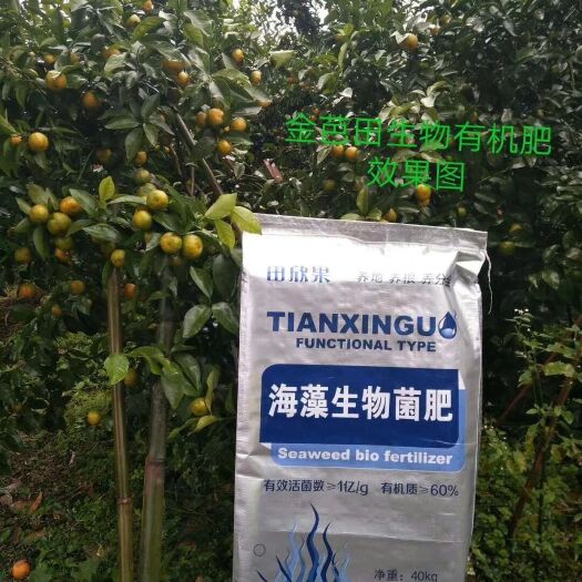 青岛 海藻生物菌肥.有机菌肥.有机肥